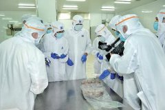 什么是P3實驗室，建立P3實驗室的要求是怎樣